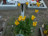 Friedhof Grengiols